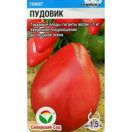 ПУДОВИК