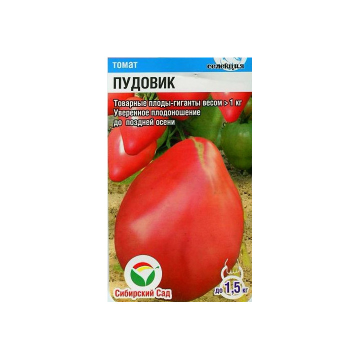 ПУДОВИК