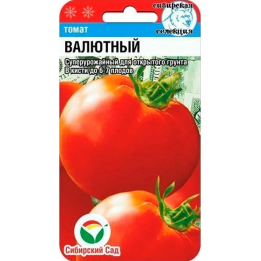 ВАЛЮТНЫЙ