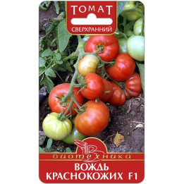 ВОЖДЬ КРАСНОКОЖИХ