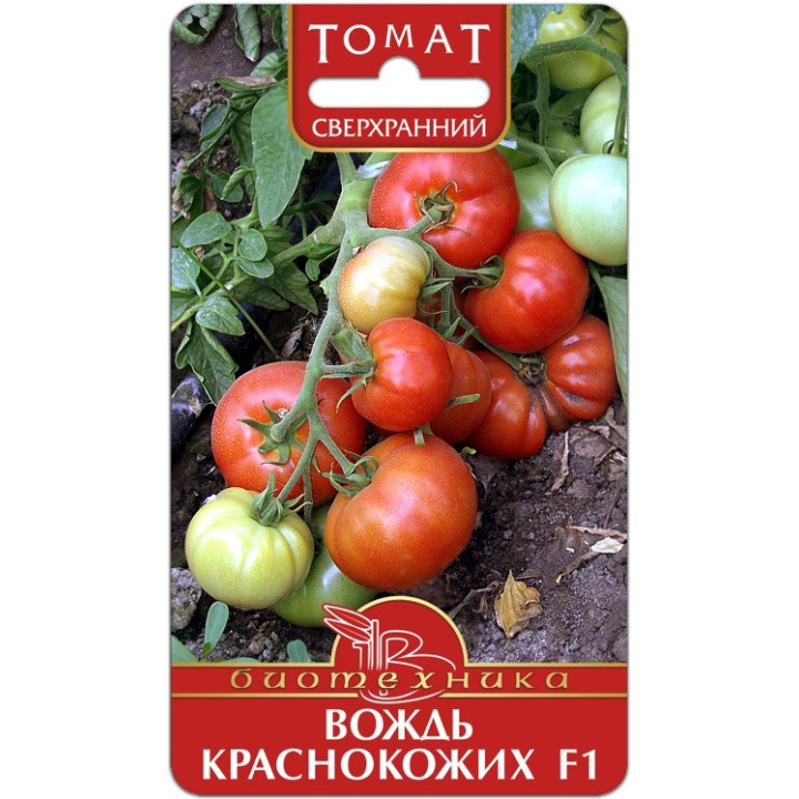 ВОЖДЬ КРАСНОКОЖИХ
