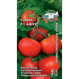 АЖУР