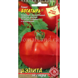 БОГАТЫРЬ