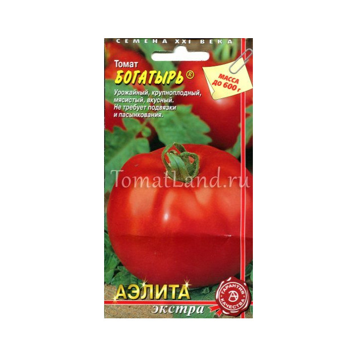 БОГАТЫРЬ