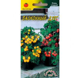 ДУЭТ