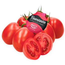 ФЛАМЕНКО