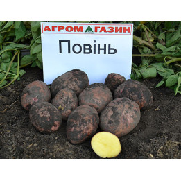 Повінь / Повинь