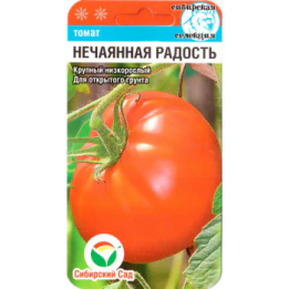 НЕЧАЯННАЯ РАДОСТЬ