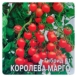 КОРОЛЕВА МАРГО