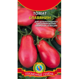 СЛАВЯНИН