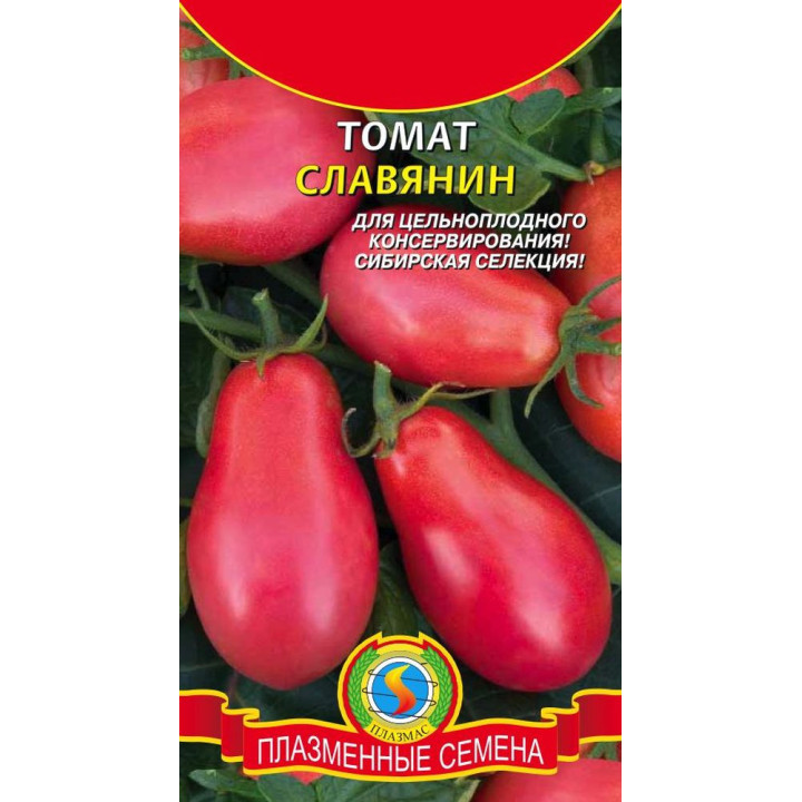 СЛАВЯНИН