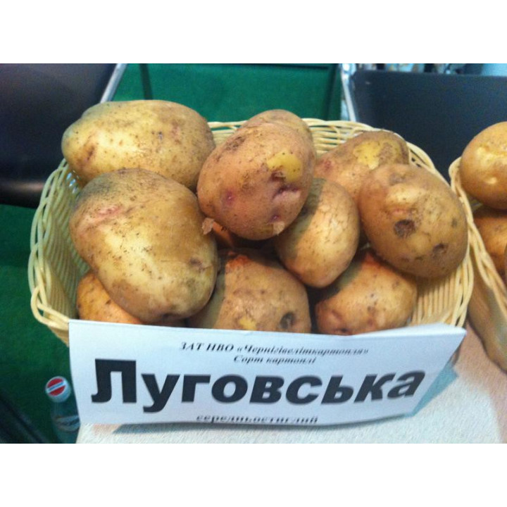 Луговська / Луговской
