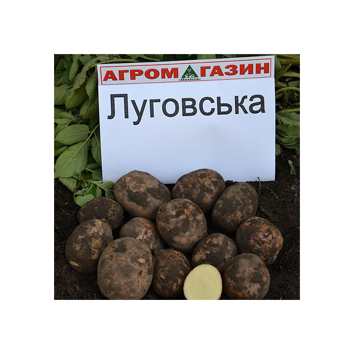 Луговська / Луговской