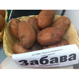Забава