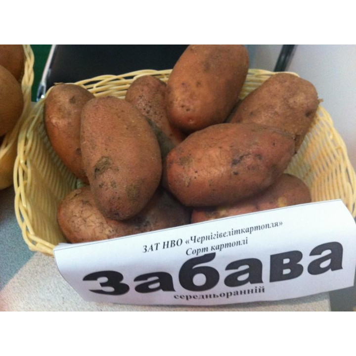Забава