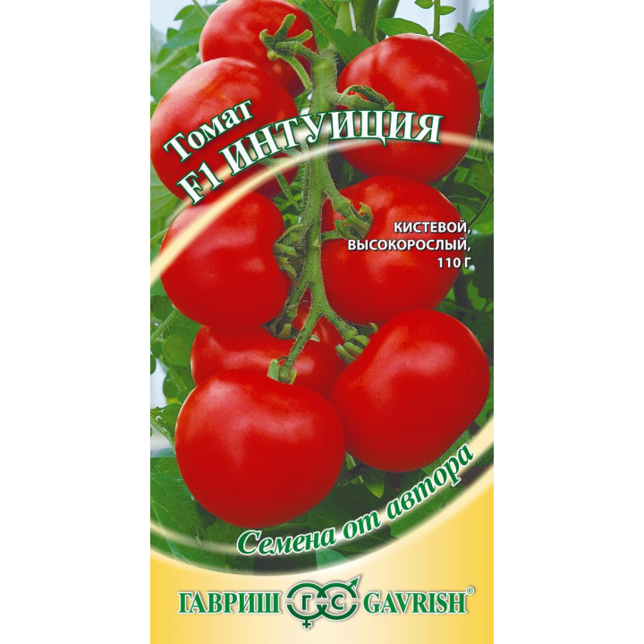 ИНТУИЦИЯ