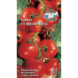 ФЕЛИЧИТА