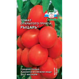 РЫЦАРЬ