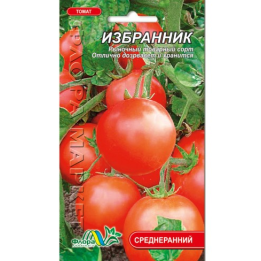 ИЗБРАННИК