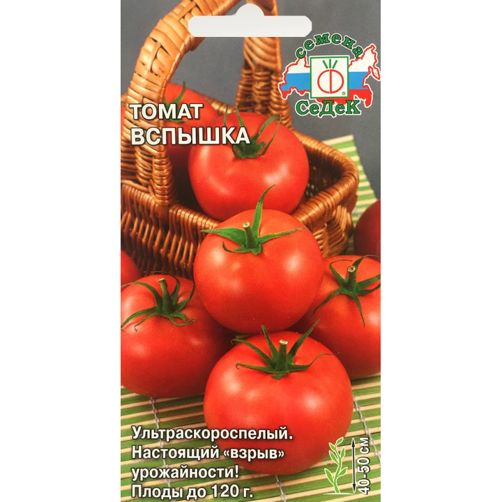 ВСПЫШКА