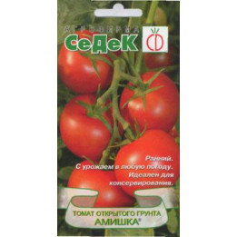 АМИШКА