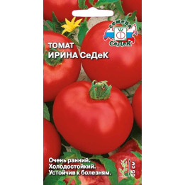 ИРИНА СЕДЕК