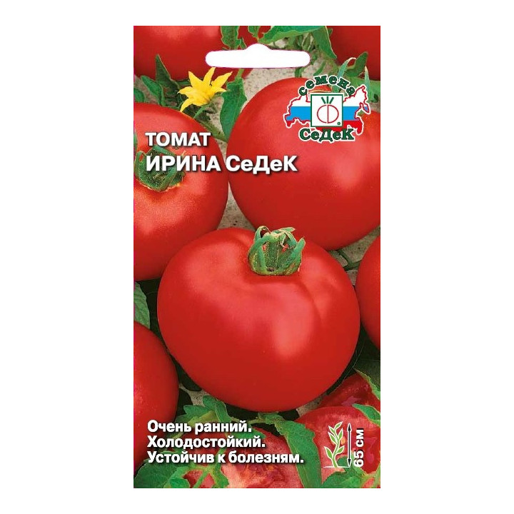 ИРИНА СЕДЕК