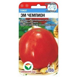 ЭМ ЧЕМПИОН