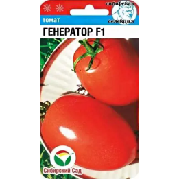 ГЕНЕРАТОР