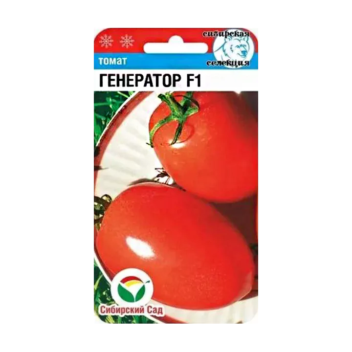 ГЕНЕРАТОР