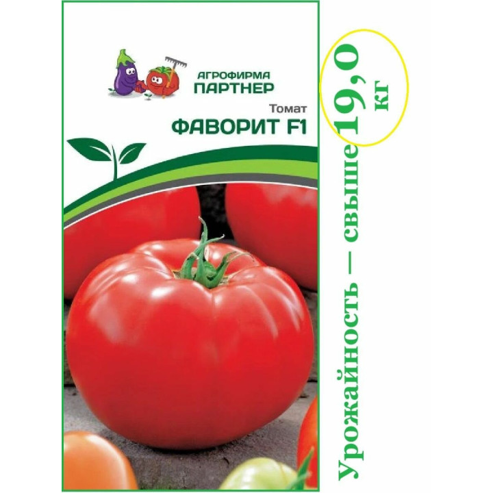 ФАВОРИТ 6