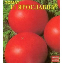 ЯРОСЛАВНА