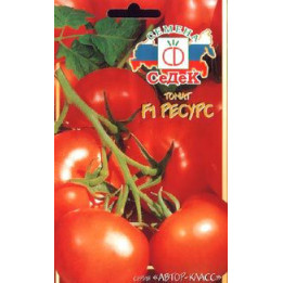РЕСУРС