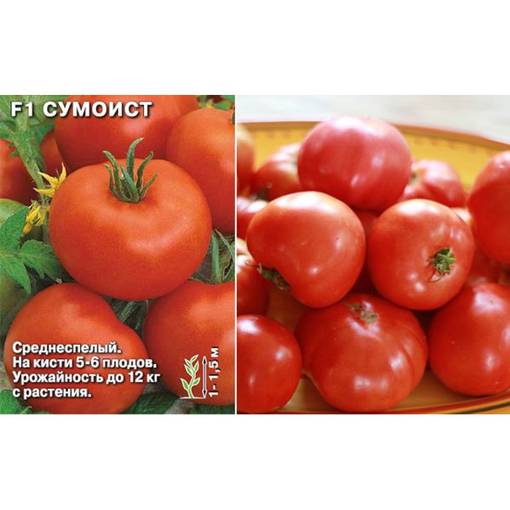 СУМОИСТ