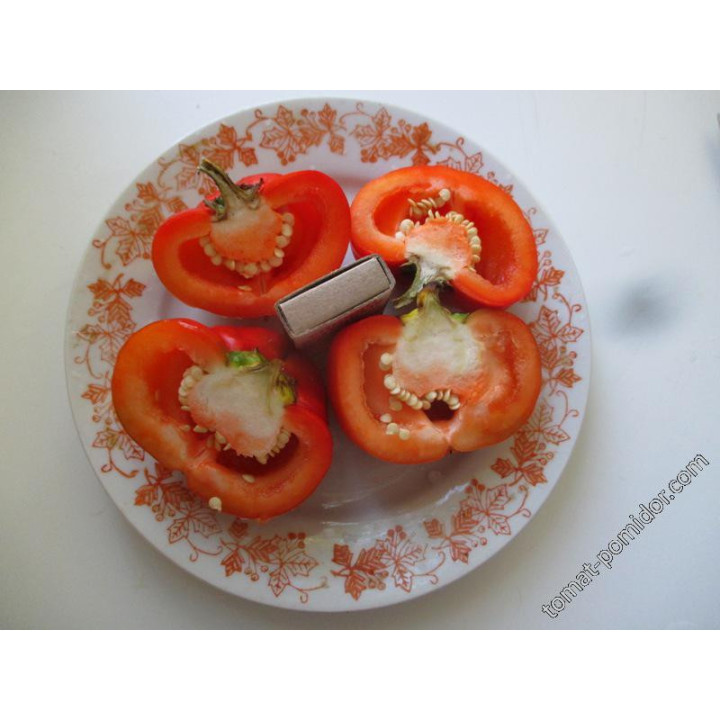 ФАКИР