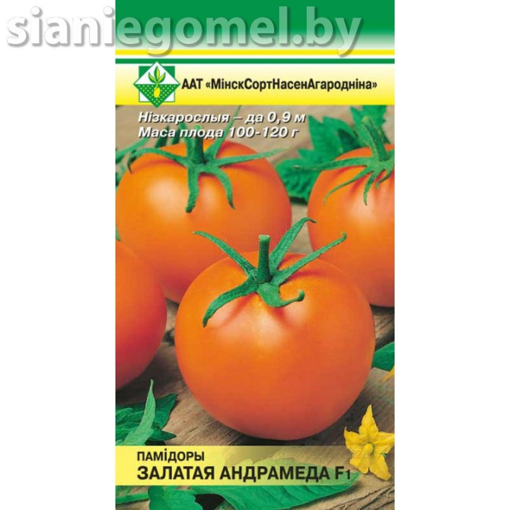 ЗОЛОТАЯ АНДРОМЕДА