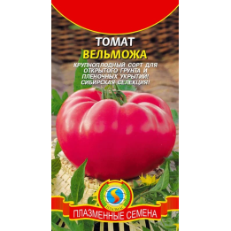 ВЕЛЬМОЖА