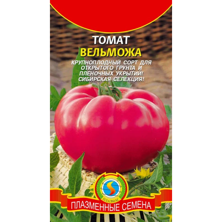 ВЕЛЬМОЖА