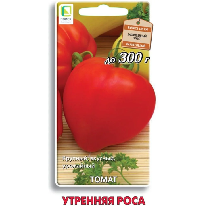 УТРЕННЯЯ РОСА