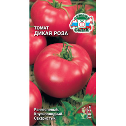 ДИКАЯ РОЗА