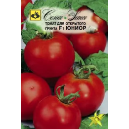 ЮНИОР
