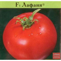 ЛАФАНЯ