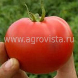 ЛИНДОС