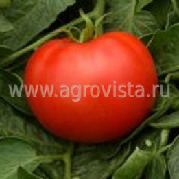 ГОЛДМАР