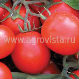 ВФ 10
