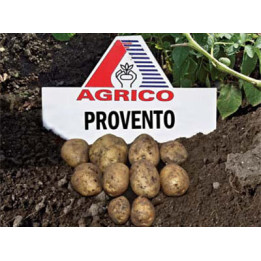 Провенто / Provento