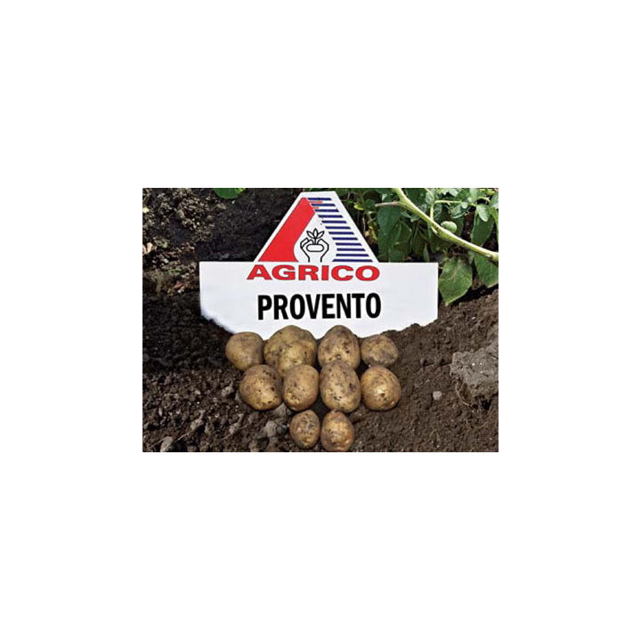 Провенто / Provento