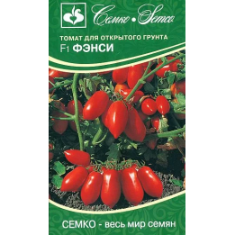 ФЭНСИ