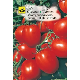 ОТЛИЧНИК