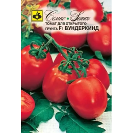 ВУНДЕРКИНД